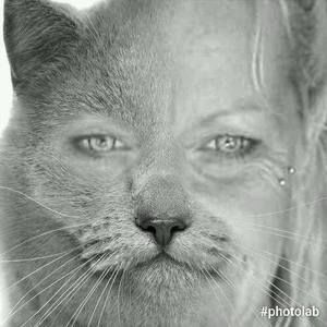 Meet your Posher, Teri